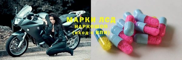 spice Зерноград