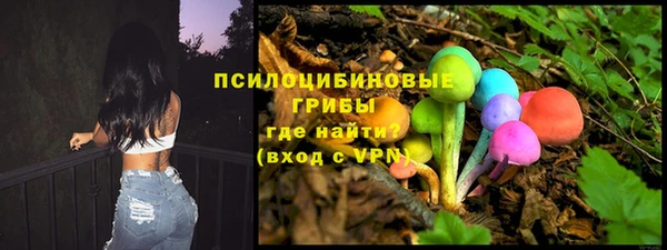 прущие крисы Белоозёрский
