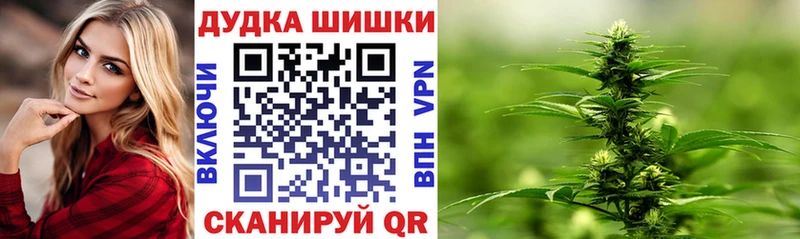 Каннабис сатива  продажа наркотиков  Волхов 